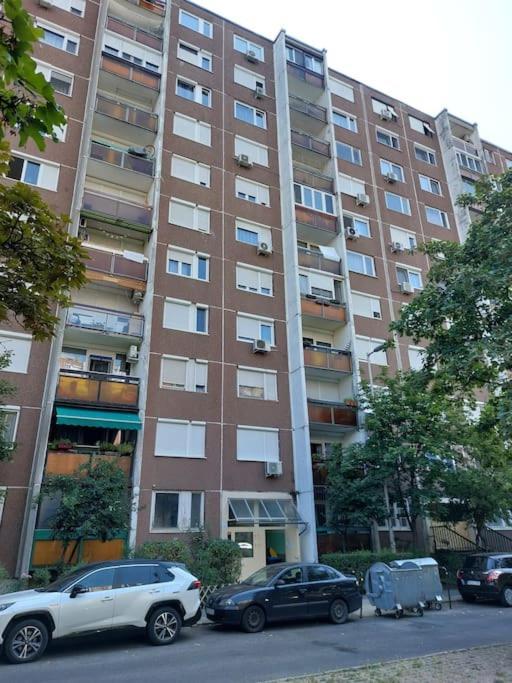 Erzsebet Apartman, Free Parking Budapest Eksteriør billede