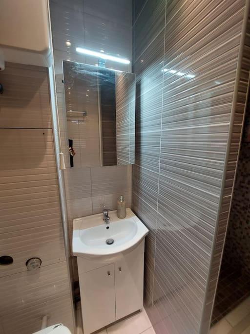 Erzsebet Apartman, Free Parking Budapest Eksteriør billede