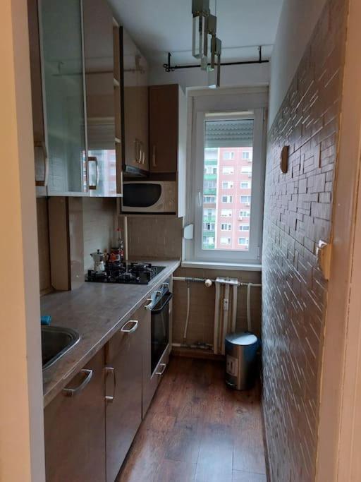 Erzsebet Apartman, Free Parking Budapest Eksteriør billede